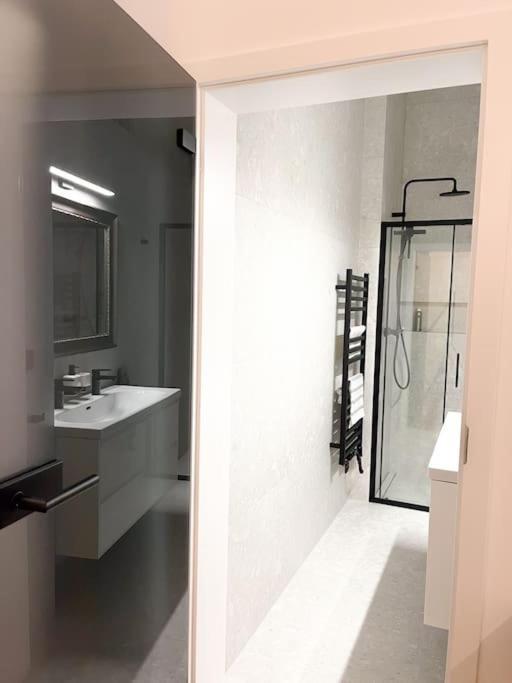 Capitol Deluxe Apartment 布拉格 外观 照片